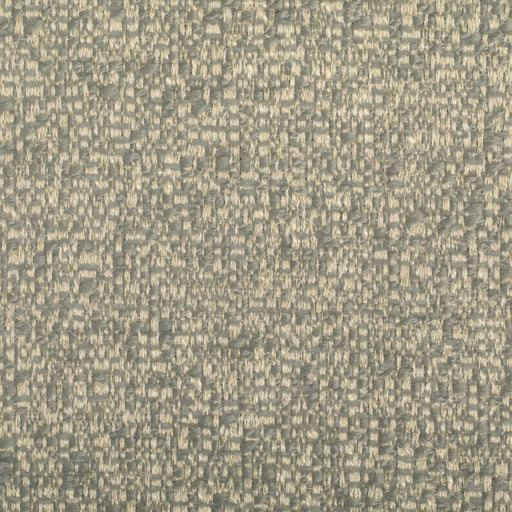 Steeplechase - CryptonÂ® - Stone - RM Coco - Fabric by the Yard