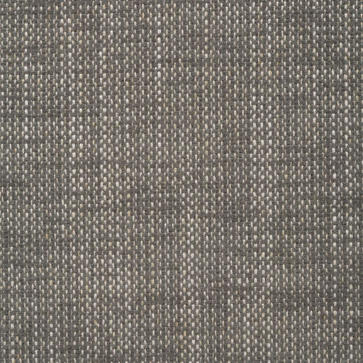 Quinella - CryptonÂ® - Thunder - RM Coco - Fabric by the Yard