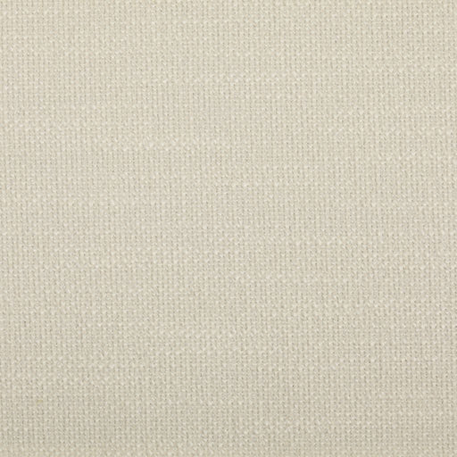 Clubhouse Turn - CryptonÂ® - Snow - RM Coco - Fabric by the Yard