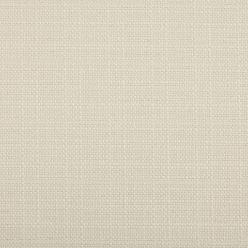 Jockey Club - CryptonÂ® - Salt - RM Coco - Fabric by the Yard