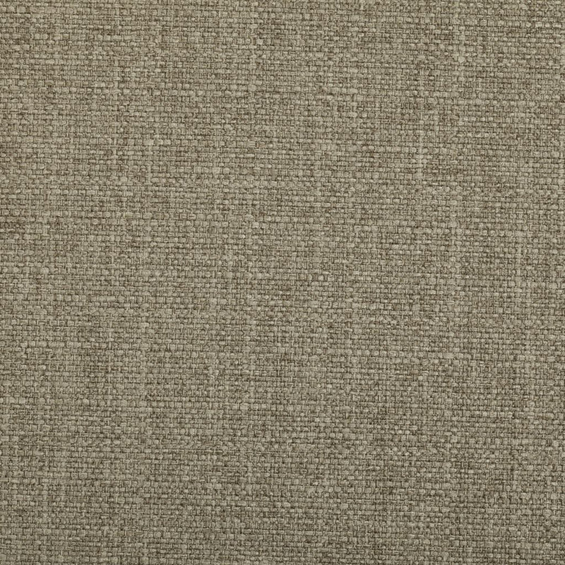 Jockey Club - CryptonÂ® - Silver Lining - RM Coco - Fabric by the Yard