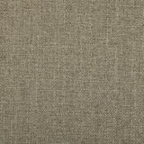 Jockey Club - CryptonÂ® - Silver Lining - RM Coco - Fabric by the Yard