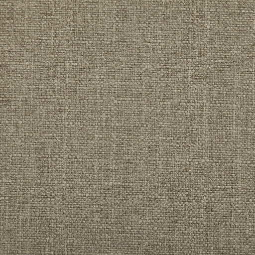 Jockey Club - CryptonÂ® - Silver Lining - RM Coco - Fabric by the Yard