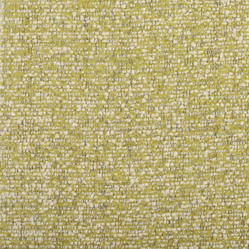 Triple Crown - CryptonÂ® - Fern - RM Coco - Fabric by the Yard