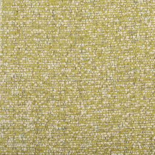 Triple Crown - CryptonÂ® - Fern - RM Coco - Fabric by the Yard