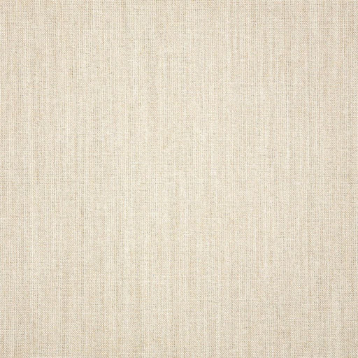 Cast - SunbrellaÂ® - Pumice 48114-0000 - RM Coco - Fabric by the Yard