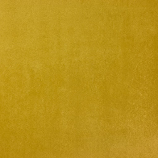 Soiree - Gold Rush - RM Coco - Fabric by the Yard