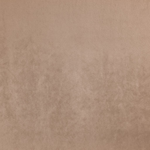 Soiree - Birch - RM Coco - Fabric by the Yard