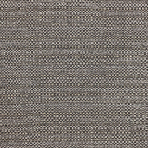Festivale - Fog - RM Coco - Fabric by the Yard