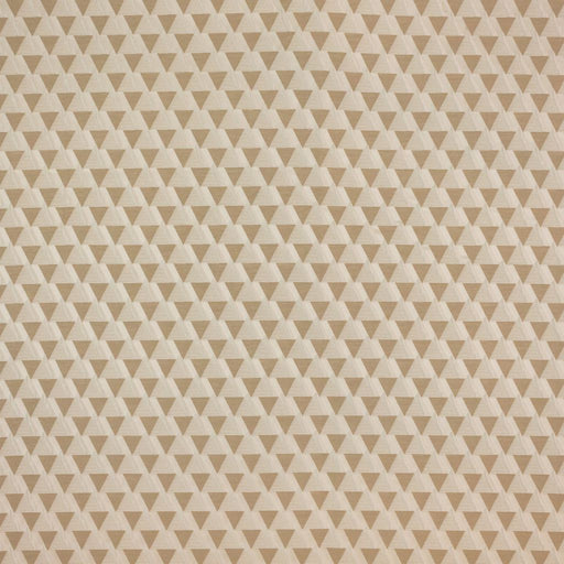Step Down - Latte - RM Coco - Fabric by the Yard