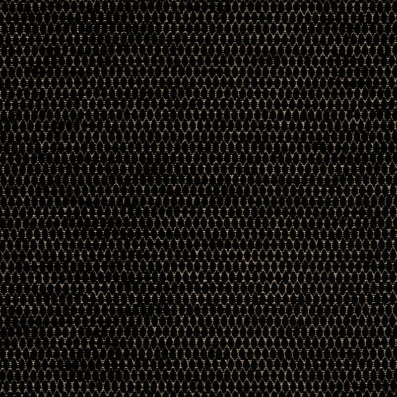 Stockard - Noir - RM Coco - Fabric by the Yard