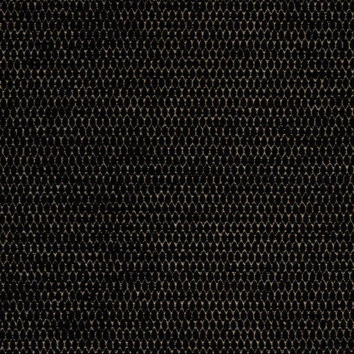 Stockard - Noir - RM Coco - Fabric by the Yard