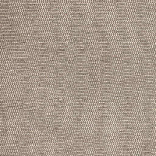Stockard - Dove - RM Coco - Fabric by the Yard