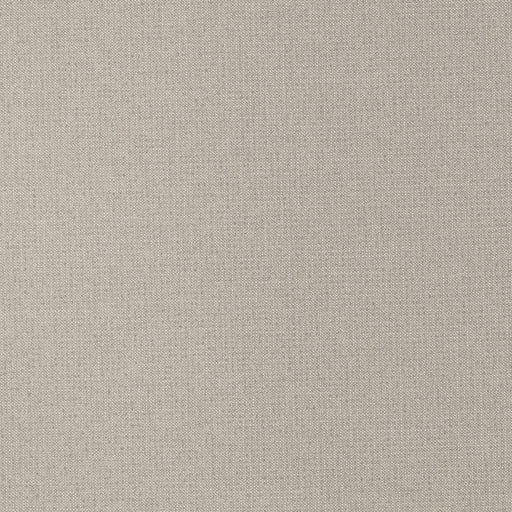 Clubroom Tweed - Platinum - RM Coco - Fabric by the Yard