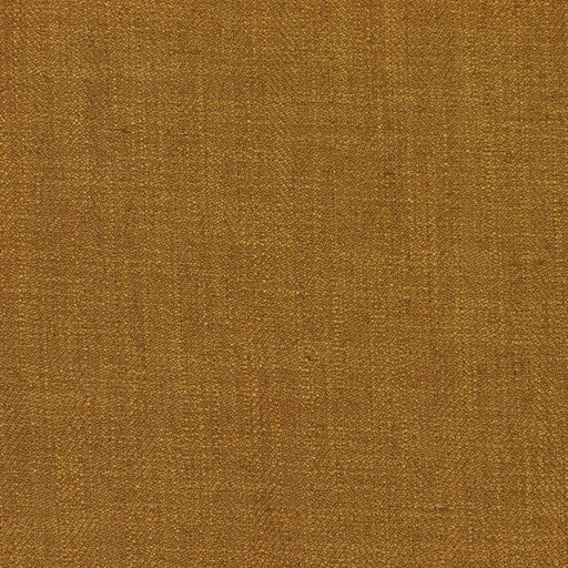 Barrister - Gold Rush - RM Coco - Fabric by the Yard