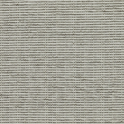 Bronco - Birch - RM Coco - Fabric by the Yard