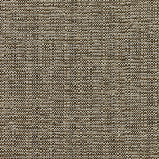 Bronco - Driftwood - RM Coco - Fabric by the Yard