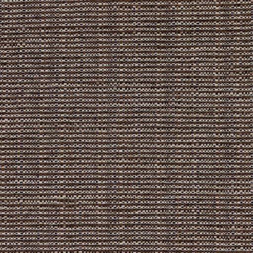 Bronco - Tahini - RM Coco - Fabric by the Yard