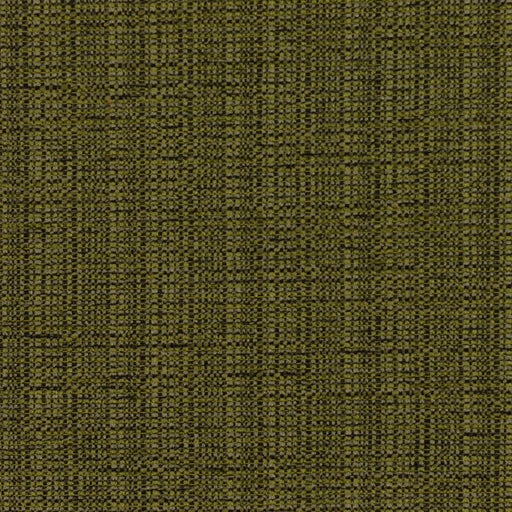 Bronco - Olive - RM Coco - Fabric by the Yard
