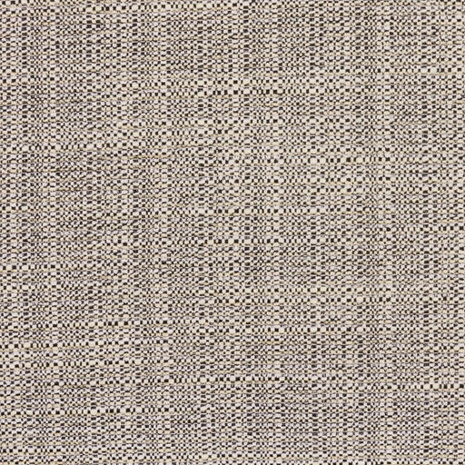 Bronco - Domino - RM Coco - Fabric by the Yard