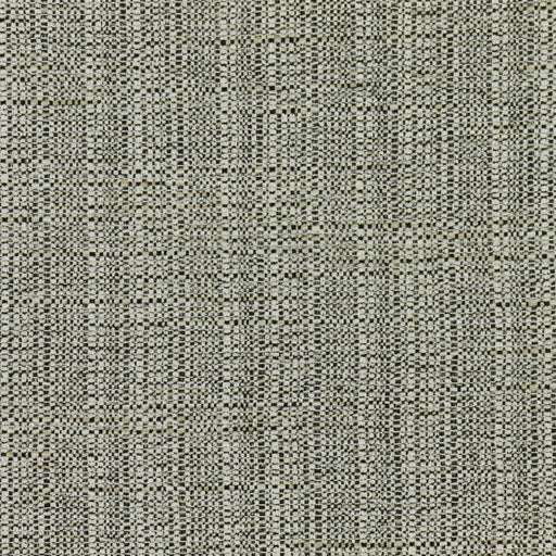Bronco - Graystone - RM Coco - Fabric by the Yard