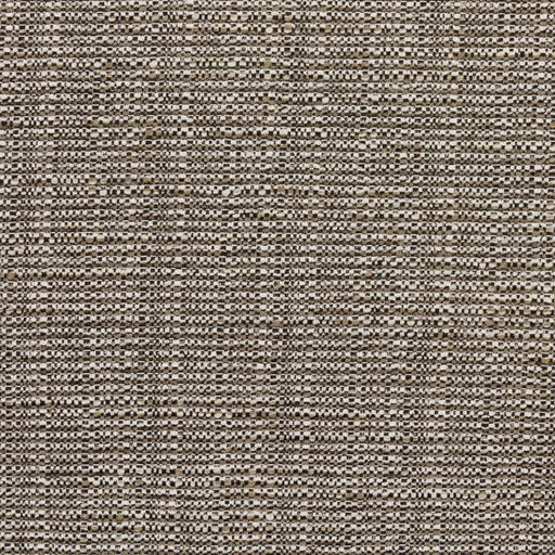 Bronco - Gravel - RM Coco - Fabric by the Yard
