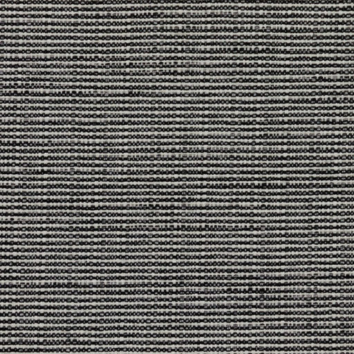 Bronco - Tuxedo - RM Coco - Fabric by the Yard