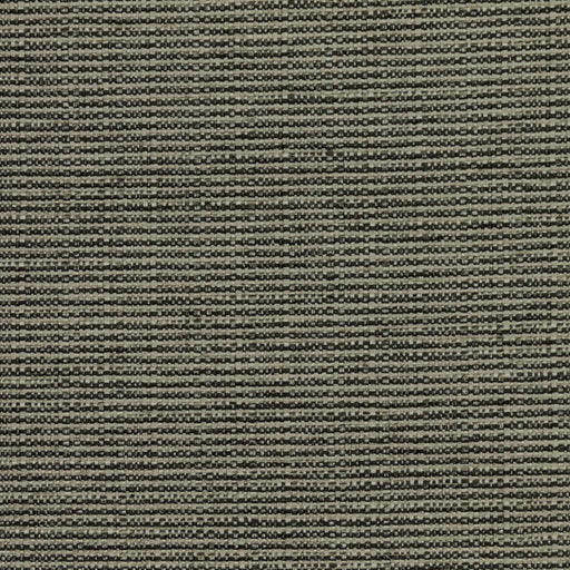Bronco - Pewter - RM Coco - Fabric by the Yard