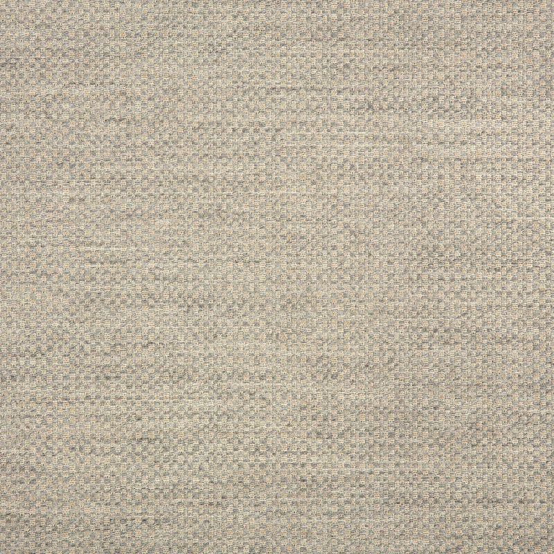 Action - SunbrellaÂ® - Ash 44285-0001 - RM Coco - Fabric by the Yard