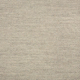 Action - SunbrellaÂ® - Ash 44285-0001 - RM Coco - Fabric by the Yard