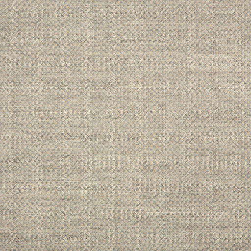 Action - SunbrellaÂ® - Ash 44285-0001 - RM Coco - Fabric by the Yard