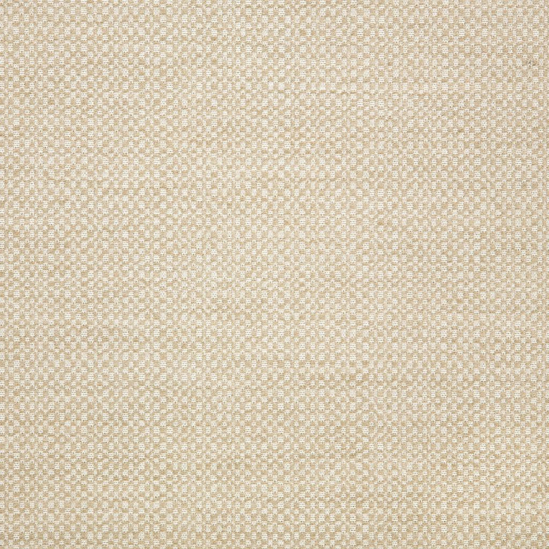 Action - SunbrellaÂ® - Linen 44285-0000 - RM Coco - Fabric by the Yard