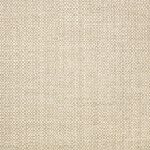 Action - SunbrellaÂ® - Linen 44285-0000 - RM Coco - Fabric by the Yard
