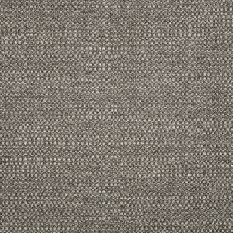 Action - SunbrellaÂ® - Stone 44285-0002 - RM Coco - Fabric by the Yard