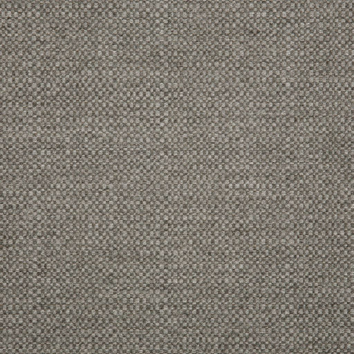 Action - SunbrellaÂ® - Stone 44285-0002 - RM Coco - Fabric by the Yard