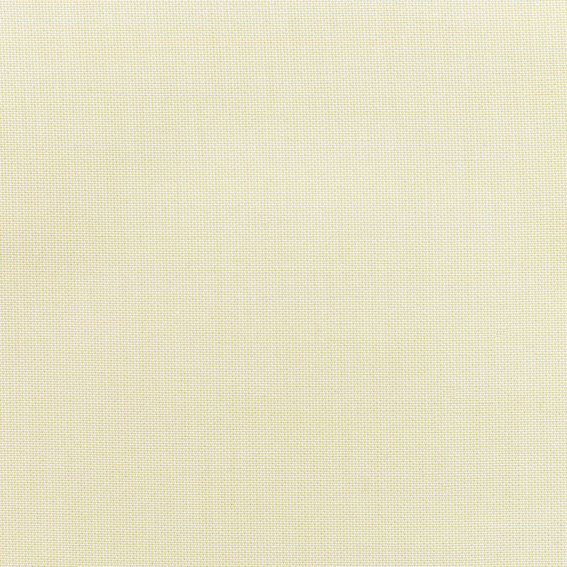 Canvas - SunbrellaÂ® - Birds Eye 5472-0000 - RM Coco - Fabric by the Yard