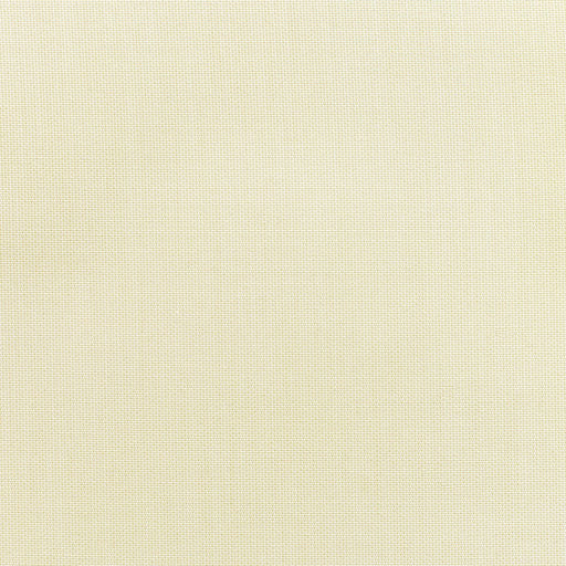 Canvas - SunbrellaÂ® - Birds Eye 5472-0000 - RM Coco - Fabric by the Yard