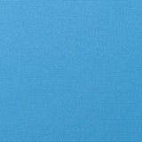 Canvas - SunbrellaÂ® - Capri 5426-0000 - RM Coco - Fabric by the Yard
