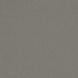 Canvas - SunbrellaÂ® - Charcoal 54048-0000 - RM Coco - Fabric by the Yard