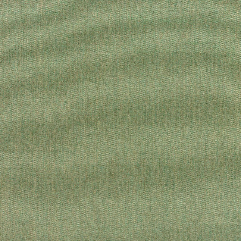 Canvas - SunbrellaÂ® - Fern 5487-0000 - RM Coco - Fabric by the Yard