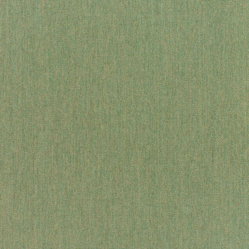 Canvas - SunbrellaÂ® - Fern 5487-0000 - RM Coco - Fabric by the Yard