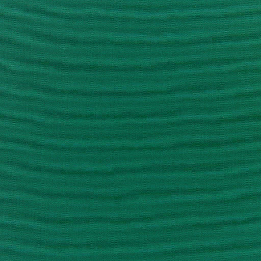 Canvas - SunbrellaÂ® - Forest Green 5446-0000 - RM Coco - Fabric by the Yard