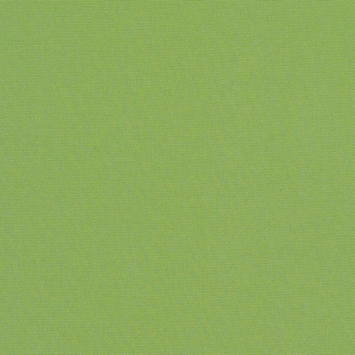 Canvas - SunbrellaÂ® - Ginkgo 54011-0000 - RM Coco - Fabric by the Yard