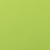 Canvas - SunbrellaÂ® - Macaw 5429-0000 - RM Coco - Fabric by the Yard