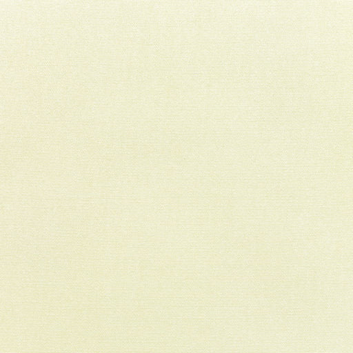 Canvas - SunbrellaÂ® - Natural 5404-0000 - RM Coco - Fabric by the Yard