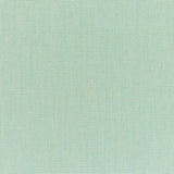 Canvas - SunbrellaÂ® - Spa 5413-0000 - RM Coco - Fabric by the Yard