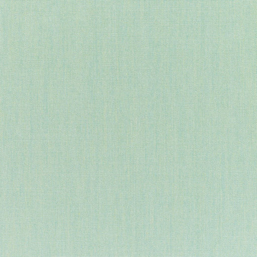 Canvas - SunbrellaÂ® - Spa 5413-0000 - RM Coco - Fabric by the Yard