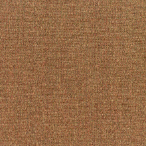 Canvas - SunbrellaÂ® - Teak 5488-0000 - RM Coco - Fabric by the Yard