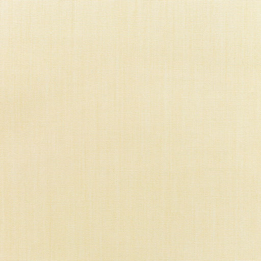 Canvas - SunbrellaÂ® - Vellum 5498-0000 - RM Coco - Fabric by the Yard