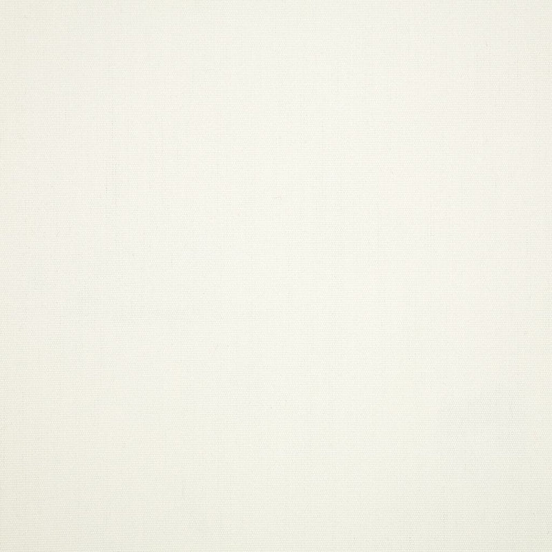 Canvas - SunbrellaÂ® - White 57003-0000 - RM Coco - Fabric by the Yard
